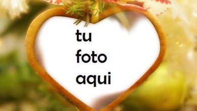 Corazón Cuando Ama Marco Para Foto 390x220 - Corazón Cuando Ama Marco Para Foto