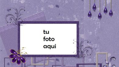 Cuadrados Violetas Marco Para Foto 390x220 - Cuadrados Violetas Marco Para Foto