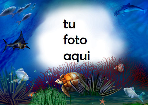 Delfines Tortugas Y Peces Bajo El Agua Marco Para Foto - Delfines Tortugas Y Peces Bajo El Agua Marco Para Foto