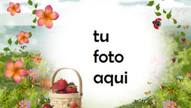Dibujo De Verano Marco Para Foto 390x220 - Dibujo De Verano Marco Para Foto