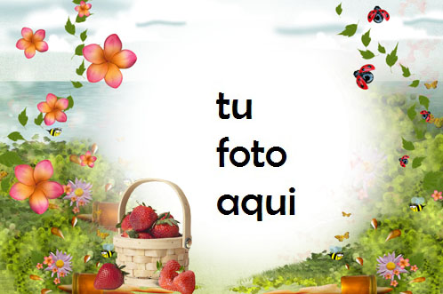 Dibujo De Verano Marco Para Foto - Dibujo De Verano Marco Para Foto