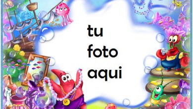 Dibujos Animados De Bob Esponja Marcos Para Foto 390x220 - Dibujos Animados De Bob Esponja Marcos Para Foto
