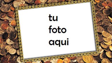 Dinero Marco Para Foto 390x220 - Dinero Marco Para Foto