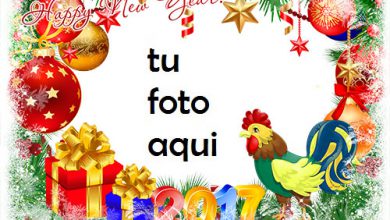 El Año Del Gallo Marco Para Foto 390x220 - El Año Del Gallo Marco Para Foto