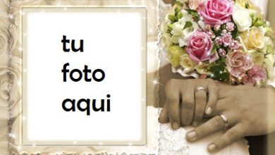 El Compromiso Más Bello Y La Alegría Más Dulce Marco Para Foto 390x220 - El Compromiso Más Bello Y La Alegría Más Dulce Marco Para Foto