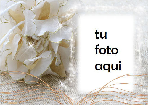 El Marco De Diamantes Más Hermoso Para El Compromiso Y La Alegría. Marco Para Foto - El Marco De Diamantes Más Hermoso Para El Compromiso Y La Alegría. Marco Para Foto