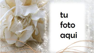 El Marco De Diamantes Más Hermoso Para El Compromiso Y La Alegría. Marco Para Foto 390x220 - El Marco De Diamantes Más Hermoso Para El Compromiso Y La Alegría. Marco Para Foto