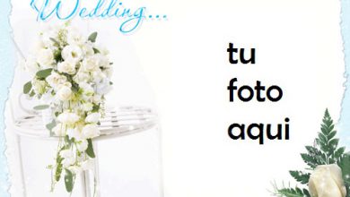 El Matrimonio Y El Compromiso Más Bellos Marco Para Foto 390x220 - El Matrimonio Y El Compromiso Más Bellos Marco Para Foto