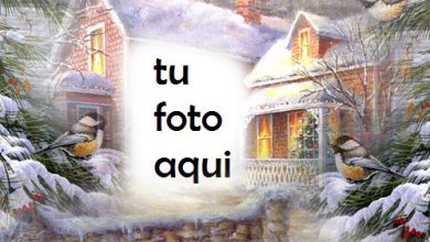 El Mundo Se Vuelve Más Amable Antes De Las Vacaciones Marco Para Foto 390x220 - El Mundo Se Vuelve Más Amable Antes De Las Vacaciones Marco Para Foto