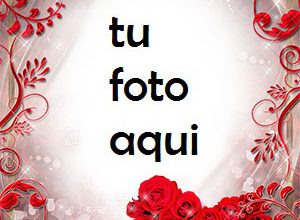 El corazón rojo de rosas es muy hermoso Marco Para Foto 300x220 - El corazón rojo de rosas es muy hermoso Marco Para Foto