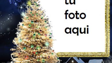 El Árbol De Navidad Más Bello Y Bello Y La Cabeza Del Año. Marco Para Foto 390x220 - El Árbol De Navidad Más Bello Y Bello Y La Cabeza Del Año. Marco Para Foto