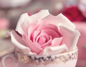 Escribir En Foto La imagen rosa más hermosa de los amantes. 1 281x220 - Escribir En Foto La imagen rosa más hermosa de los amantes.