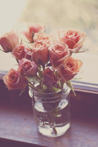 Escribir En Foto Una imagen de un romántico color rosa negro 1 - Escribir En Foto Una imagen de un romántico color rosa negro