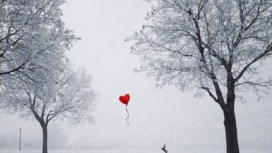 Escribir En Foto corazon con alas 390x220 - Escribir En Foto corazon con alas