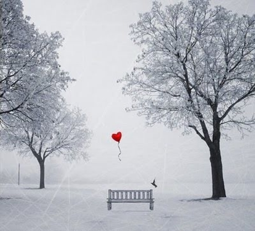 Escribir En Foto corazon con alas - Escribir En Foto corazon con alas