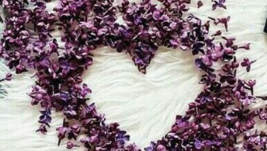 Escribir En Foto corazon flechado 390x220 - Escribir En Foto corazon flechado