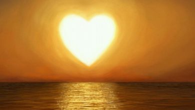 Escribir En Foto corazon frio 390x220 - Escribir En Foto corazon frio