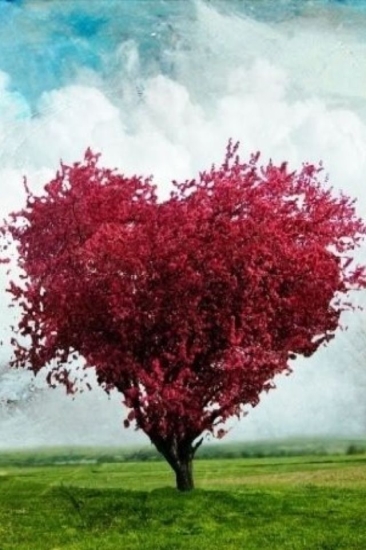 Escribir En Foto corazon png - Escribir En Foto corazon png