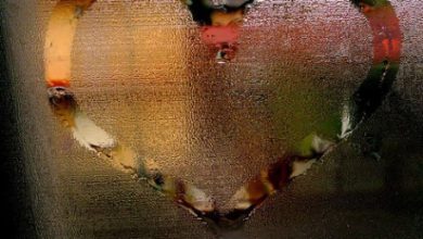 Escribir En Foto corazon real 390x220 - Escribir En Foto corazon real