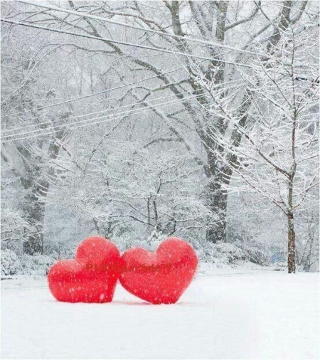 Escribir En Foto corazon sin relleno - Escribir En Foto corazon sin relleno