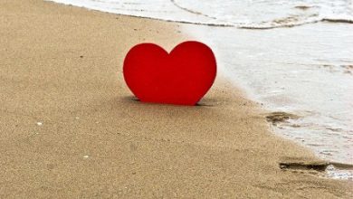 Escribir En Foto corazones con nombres 390x220 - Escribir En Foto corazones con nombres