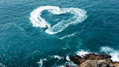 Escribir En Foto corazones de amor para dedicar 390x220 - Escribir En Foto corazones de amor para dedicar