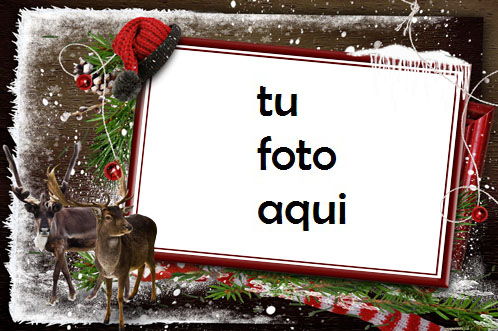 Esperando A Papá Noel En El Frío Bosque De Invierno Marco Para Foto - Esperando A Papá Noel En El Frío Bosque De Invierno Marco Para Foto