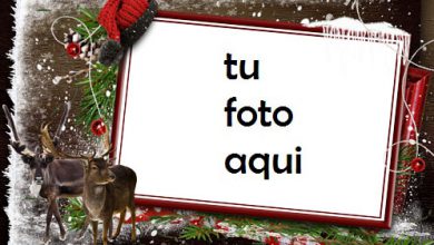 Esperando A Papá Noel En El Frío Bosque De Invierno Marco Para Foto 390x220 - Esperando A Papá Noel En El Frío Bosque De Invierno Marco Para Foto