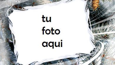 Espíritu De Invierno Marco Para Foto 390x220 - Espíritu De Invierno Marco Para Foto