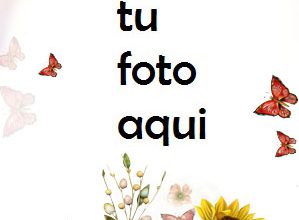 Espíritu De Primavera Marco Para Foto 299x220 - Espíritu De Primavera Marco Para Foto