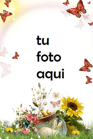 Espíritu De Primavera Marco Para Foto - Espíritu De Primavera Marco Para Foto