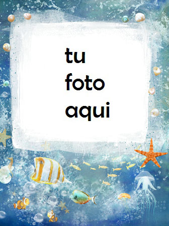 Estrella De Mar Y Pescado De Mar Marco Para Foto - Estrella De Mar Y Pescado De Mar Marco Para Foto