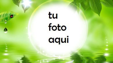 Falta Para El Verano Marco Para Foto 390x220 - Falta Para El Verano Marco Para Foto