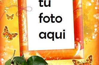 Felicidad Mandarina Marco Para Foto 333x220 - Felicidad Mandarina Marco Para Foto