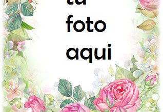 Feliz Cumpleaños Con Las Flores Rosadas Más Bellas Marco Para Foto 318x220 - Feliz Cumpleaños Con Las Flores Rosadas Más Bellas Marco Para Foto
