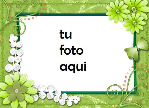 Fina rama de olivo Marco Para Foto - Fina rama de olivo Marco Para Foto