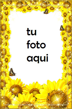 Flor De Girasol Marco Para Foto - Flor De Girasol Marco Para Foto