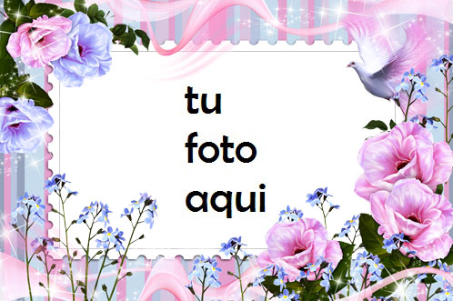 Flores De La Mañana Marco Para Foto - Flores De La Mañana Marco Para Foto