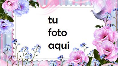 Flores De La Mañana Marco Para Foto 390x220 - Flores De La Mañana Marco Para Foto