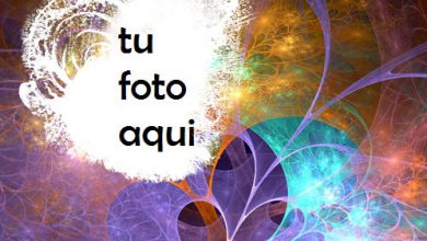 Flores De La Noche Romántica Marco Para Foto 390x220 - Flores De La Noche Romántica Marco Para Foto