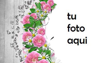 Flores De Mandolina Marco Para Foto 390x220 - Flores De Mandolina Marco Para Foto