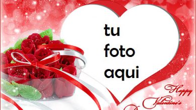 Flores De San Valentín Marco Para Foto 390x220 - Flores De San Valentín Marco Para Foto
