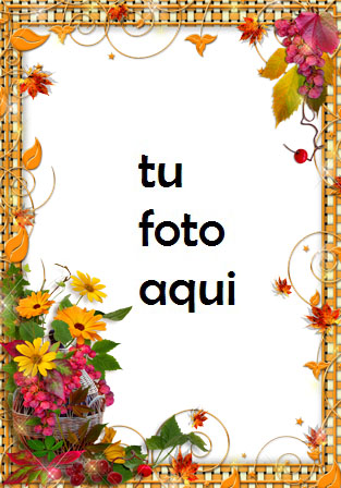 Flores Doradas Marco Para Foto - Flores Doradas Marco Para Foto