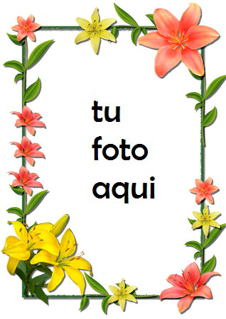 Flores Lilas Rojas Y Amarillas Marco Para Foto - Flores Lilas Rojas Y Amarillas Marco Para Foto