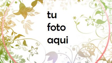 Flores Marco Para Foto 390x220 - Flores Marco Para Foto