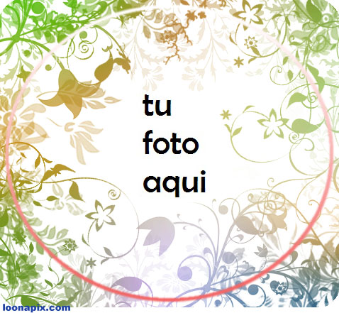 Flores Marco Para Foto - Flores Marco Para Foto