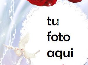 Flores Para Matrimonio Y Compromiso Marco Para Foto 299x220 - Flores Para Matrimonio Y Compromiso Marco Para Foto