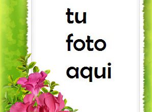 Flores Tiernas Marco Para Foto 298x220 - Flores Tiernas Marco Para Foto