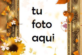 Flores Tristes Secas Marco Para Foto 325x220 - Flores Tristes Secas Marco Para Foto