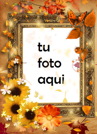 Flores Tristes Secas Marco Para Foto - Flores Tristes Secas Marco Para Foto